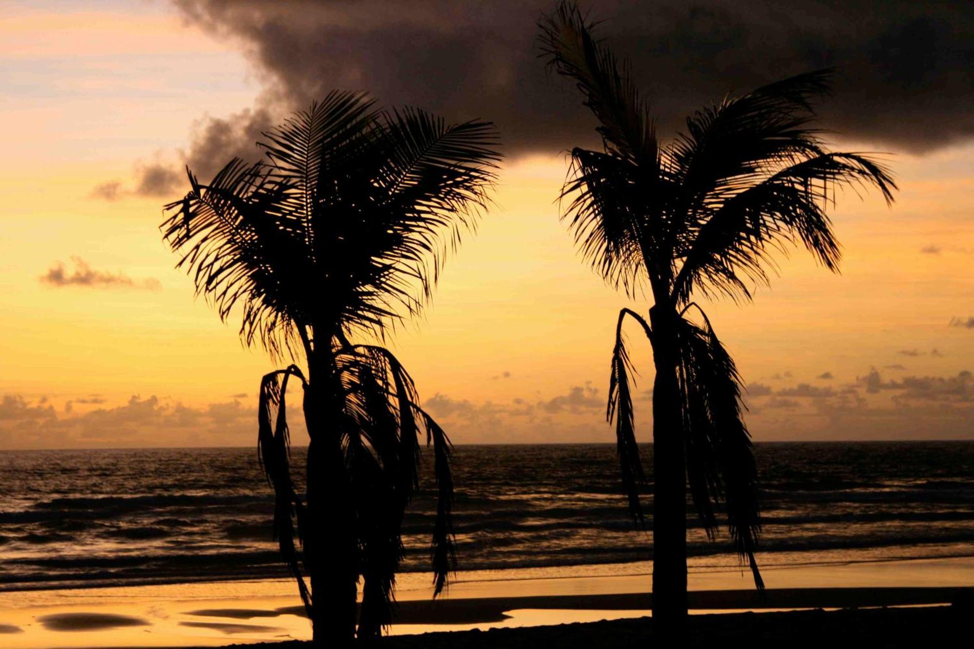 Dreamland Bungalows - Taipu De Fora - Barra Grande Exterior foto