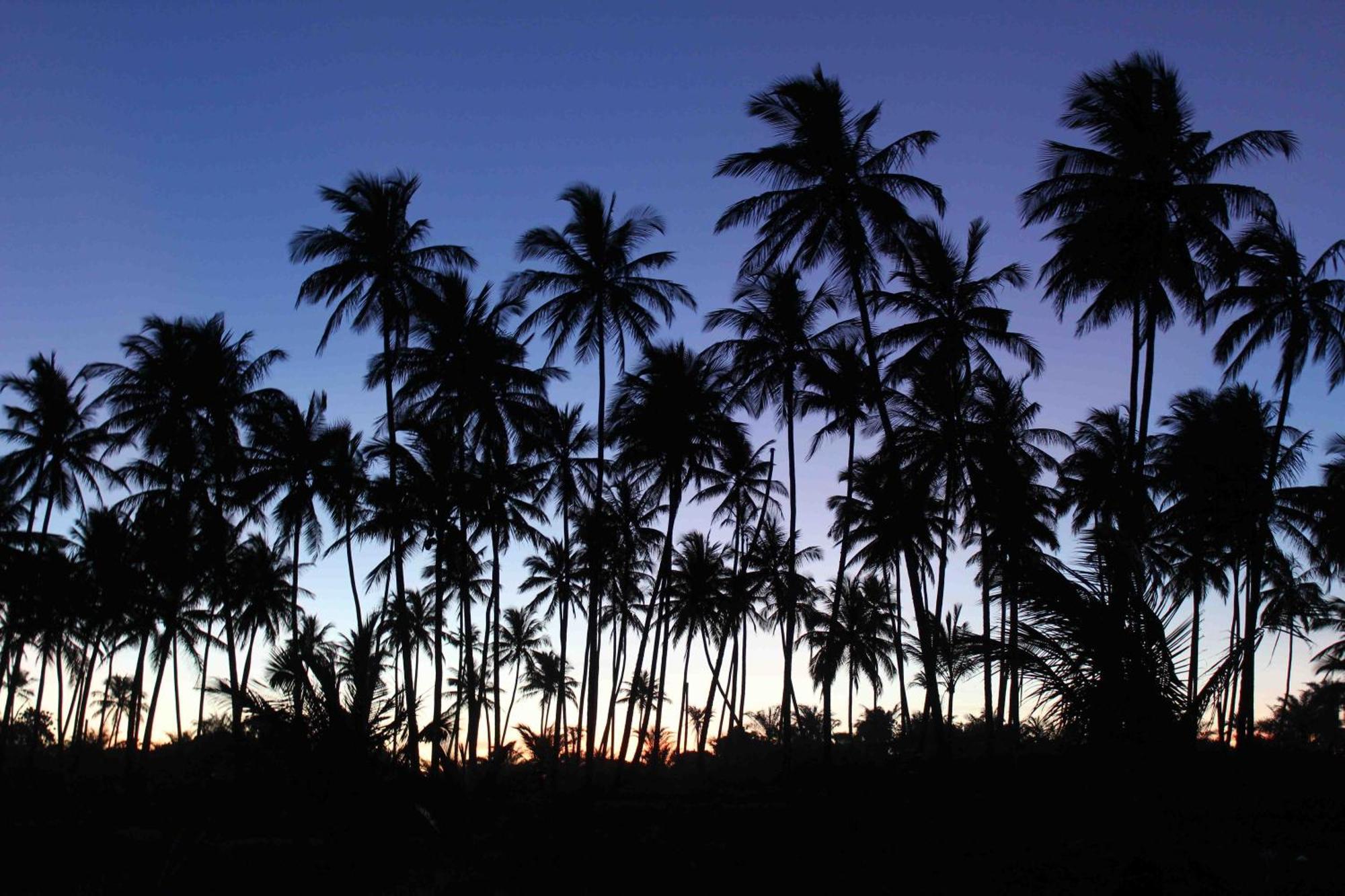 Dreamland Bungalows - Taipu De Fora - Barra Grande Exterior foto